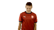 Ceskarepre Oslava Sticker by 2score
