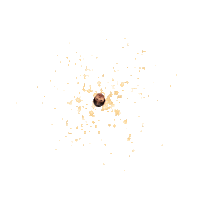 Mintsky Sticker by Instagram Tag In Virtual GIF Booth