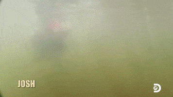 GIF by Discovery