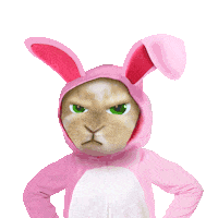 Chill Out No Sticker by chris timmons