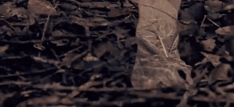 music video bahari GIF by Interscope Records