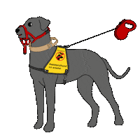 Collar Leash Sticker