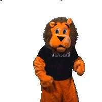 teaserszaandam holland oranje juichen leeuw Sticker