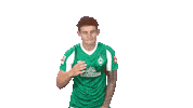 Josh Sargent Bundesliga Sticker by SV Werder Bremen