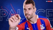 Crystal Palace Football GIF by skysports