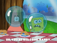 season 5 episode 10 GIF by SpongeBob SquarePants