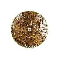 Hair Cafe Sticker by L'Oréal Brasil