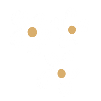 Flowers Daisy Sticker
