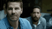 david boreanaz drama GIF by CBS