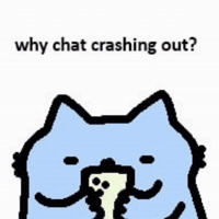 Spainnubcat GIF