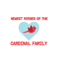 Cardinals Nc Sticker by North Central College