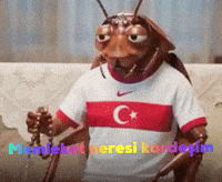 Hamam GIF