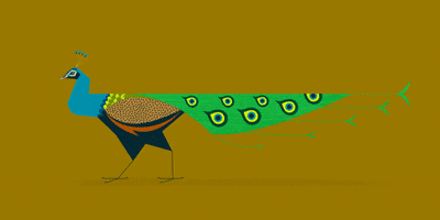 dennismoore art design india bird GIF