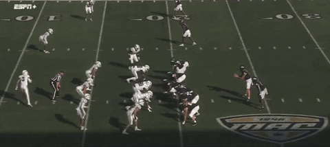 bson1011 giphyupload GIF