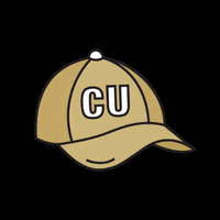 School Spirit Gold GIF by CU Online