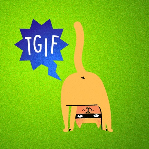 Cat Friday GIF by Kochstrasse™