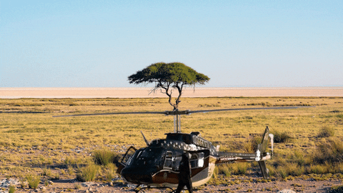 ogamedia giphyupload GIF