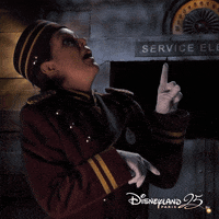 disneylandparis halloween oops disneyland groom GIF