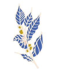 coffee leaves Sticker by Starbucks Reserve
