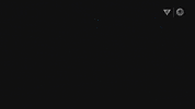 Glow Marine Life GIF by Monterey Bay Aquarium