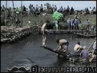 log fail GIF