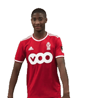 Football Soccer Sticker by Standard de Liège