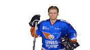 Goal Eagles Sticker by UNIS Flyers
