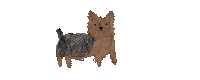 Dog Thank You Sticker by Andrea Caceres