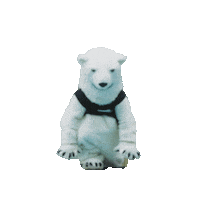 Polar Bear Sticker by Bowdoin College