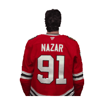 Wave Sticker by NHLBlackhawks