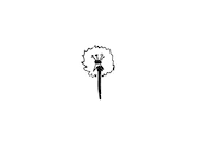 Summer Flower Sticker