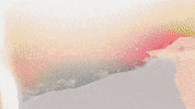 GIF by NOFUTURE