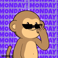 Coffee Work GIF by Wise Monkey Meme