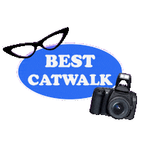 Fashion Cats Sticker by Wisdom Panel™