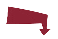 pioneer proud texas womans university Sticker by TXWomans