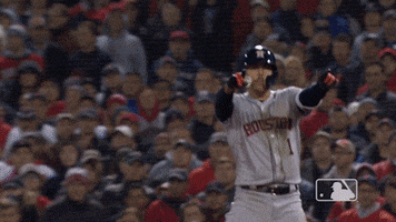 Houston Astros Sport GIF by MLB