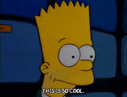 Season 2 GIF by The Simpsons