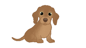 Sausage Dog Dachshund Sticker by zoopeez