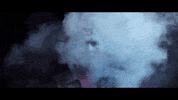 music video art GIF by Epitaph Records