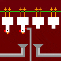 Chicken Farming GIF by Oli Sorenson