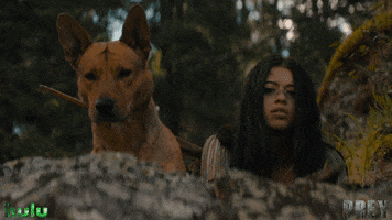 Amber Midthunder Dog GIF by 20th Century Studios