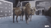 betawards bet awards bet awards 2019 GIF