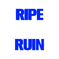 Ripe Ruin Sticker by Dock 7 Records & Management