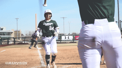 csu rams softball GIF by Colorado State Rams