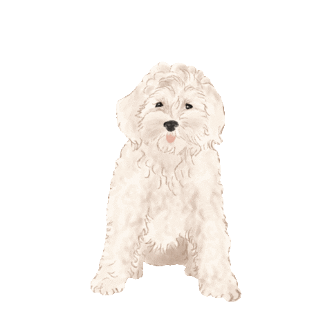 Dog Pet Sticker