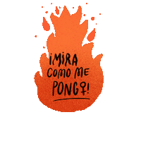 Women Feminism Sticker
