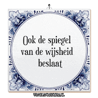 Wijsheid Troost Sticker by Tegelspreuken.nl