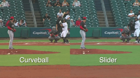 tesstass giphyupload GIF