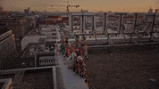 Gucci GIF by Coral Garvey