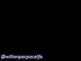 Willianpacpacslife GIF